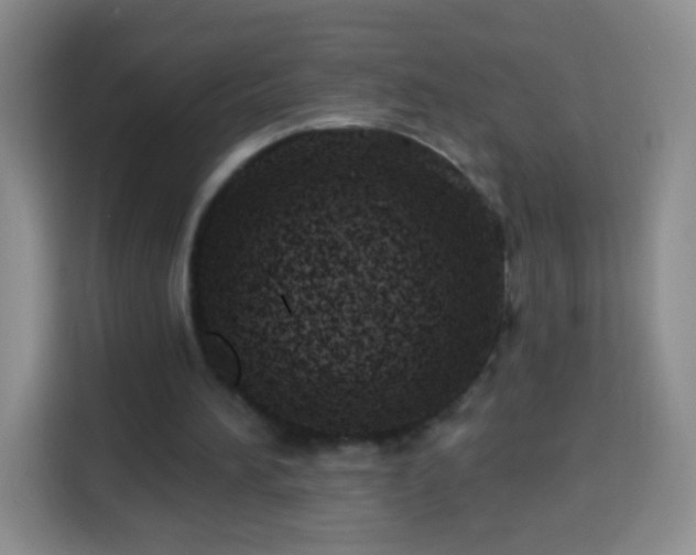 X0000113940196200910021309