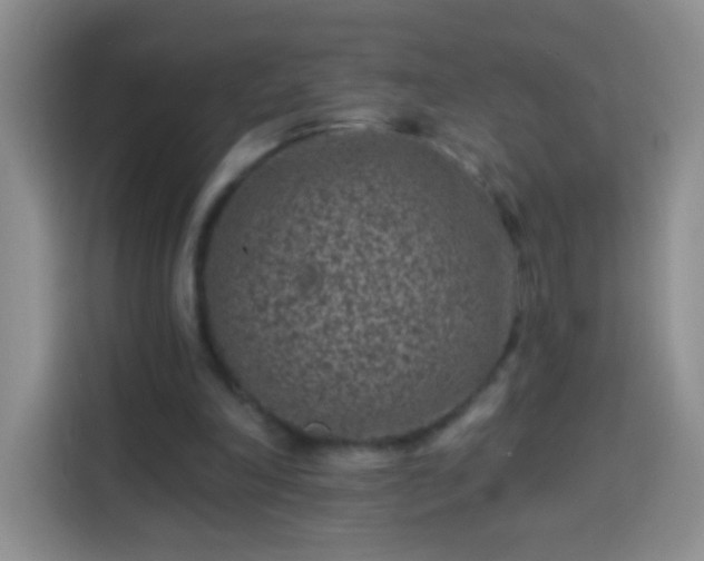 X0000113940198200910021309