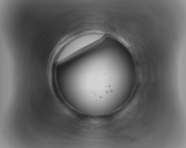 X0000113940199200910021309