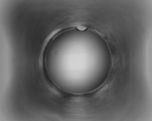 X0000113940200200910021309