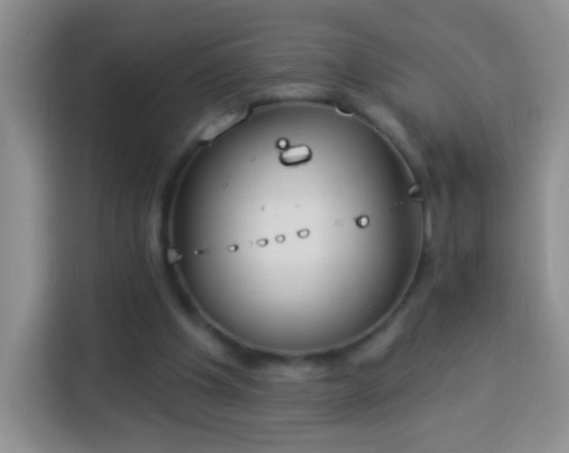 X0000113940201200910021309