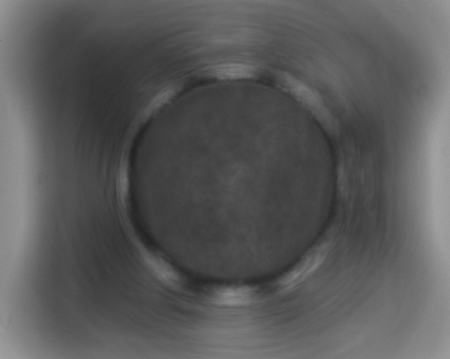 X0000113940202200910021309