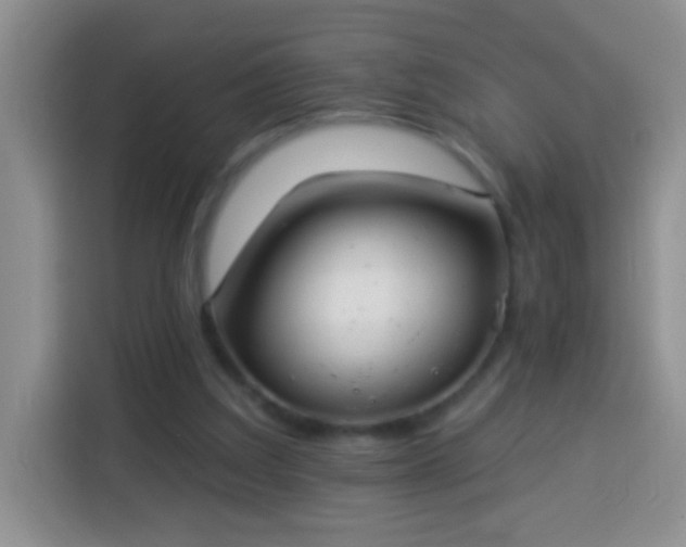 X0000113940203200910021309