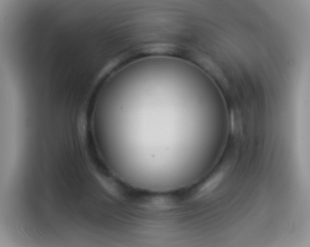 X0000113940204200910021309