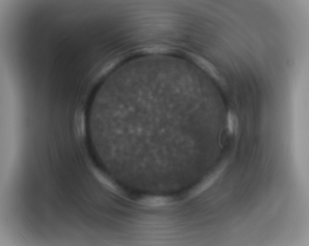 X0000113940205200910021309