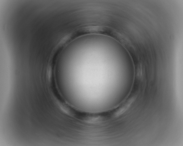 X0000113940206200910021309