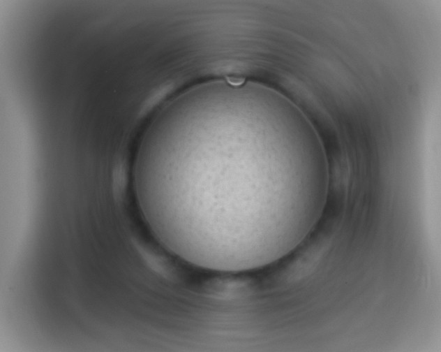 X0000113940208200910021309