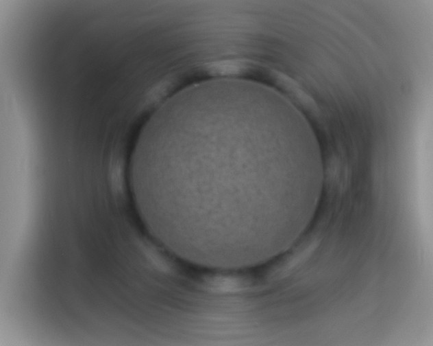 X0000113940209200910021309