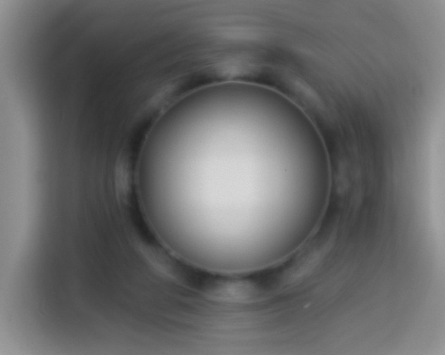 X0000113940210200910021309