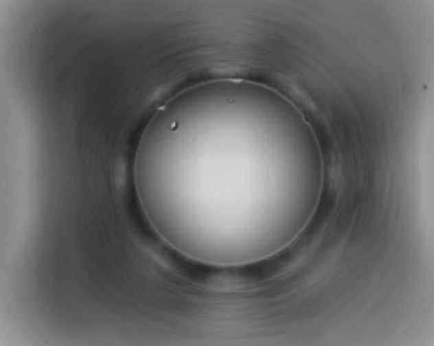 X0000113940211200910021309