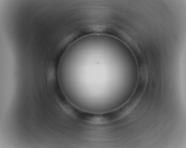 X0000113940212200910021309