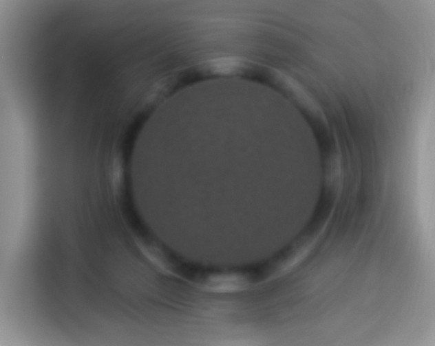 X0000113940213200910021309