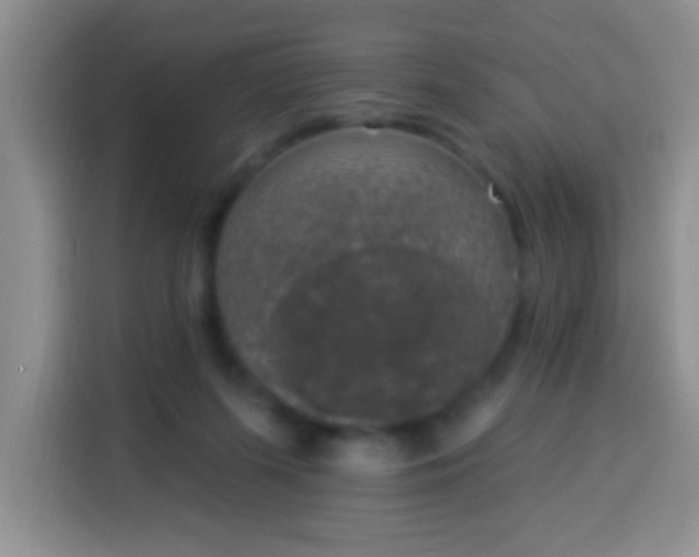 X0000113940215200910021309