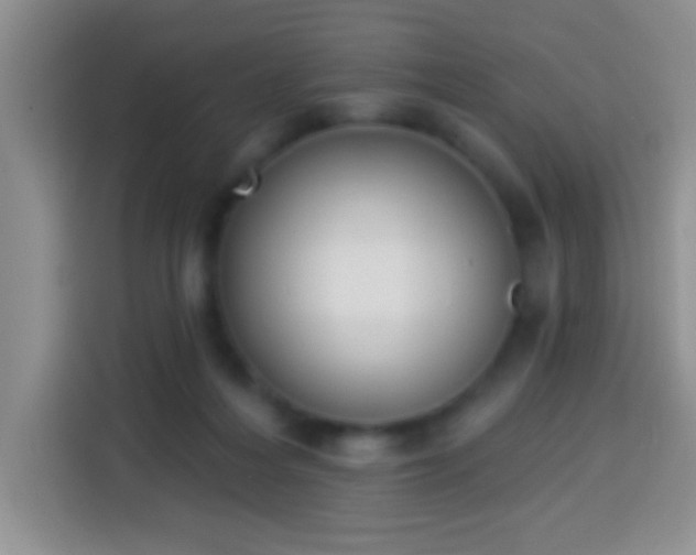 X0000113940216200910021309