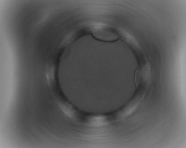 X0000113940217200910021309