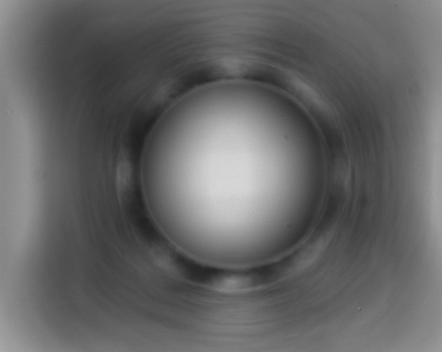 X0000113940220200910021309