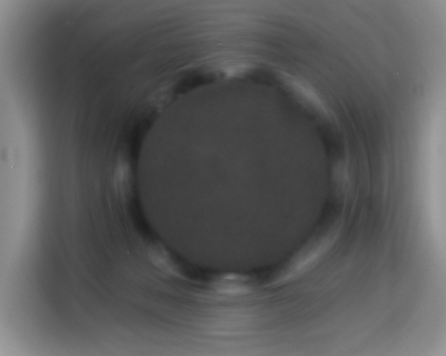 X0000113940222200910021309