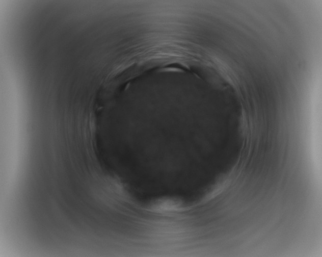 X0000113940223200910021309