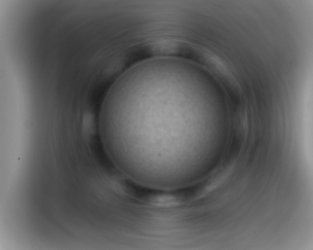 X0000113940224200910021309