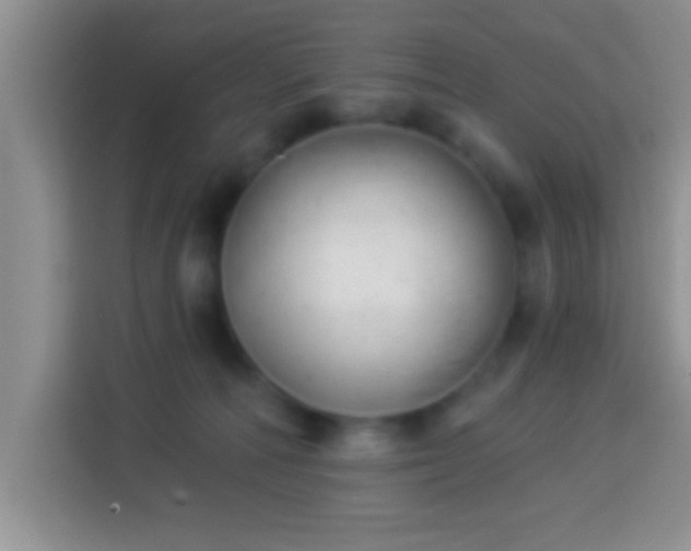 X0000113940226200910021309