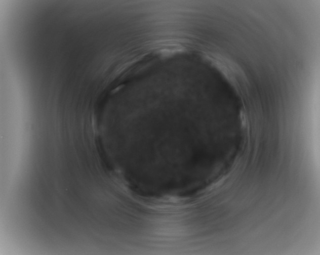 X0000113940227200910021309