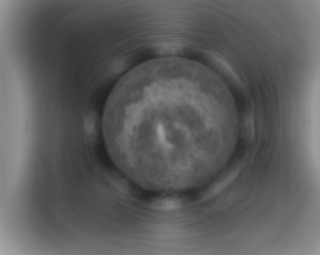 X0000113940228200910021309