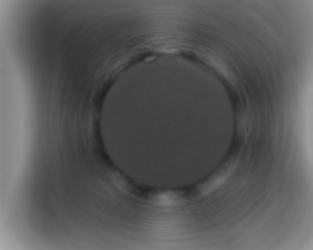 X0000113940229200910021309