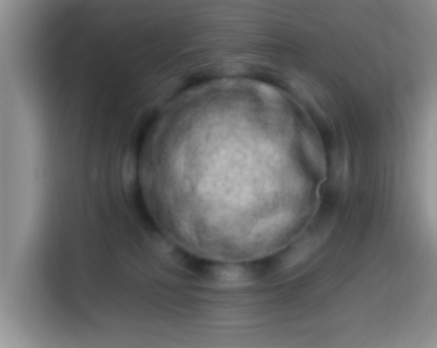 X0000113940230200910021309