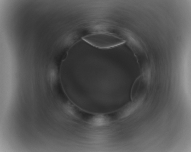 X0000113940231200910021309