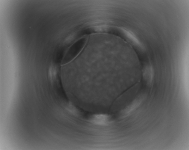 X0000113940233200910021309