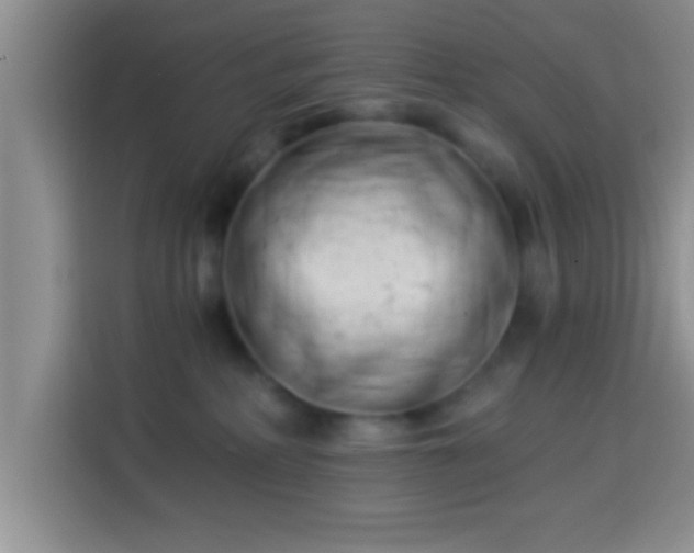 X0000113940234200910021309