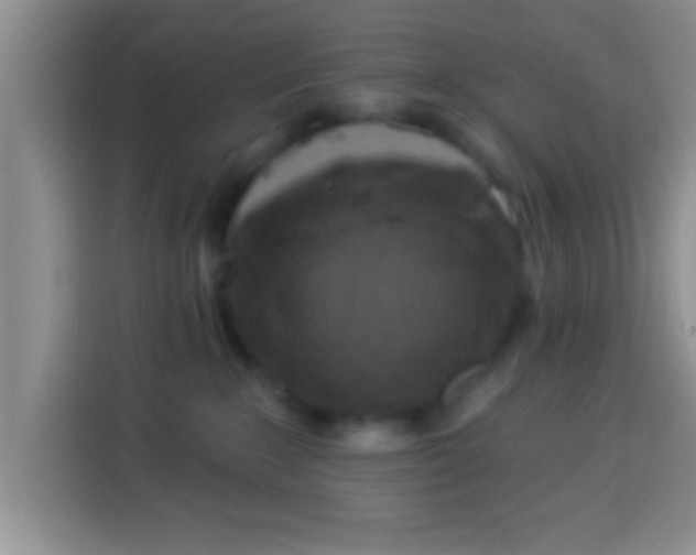 X0000113940235200910021309