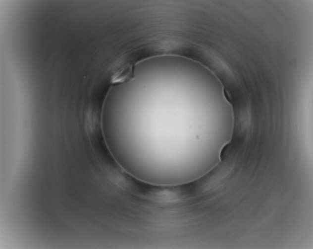 X0000113940236200910021309