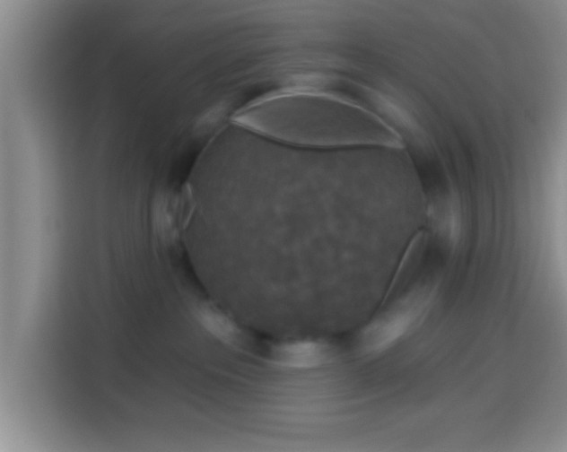 X0000113940237200910021308