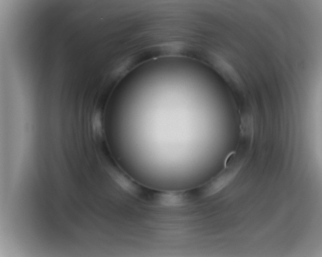 X0000113940238200910021308