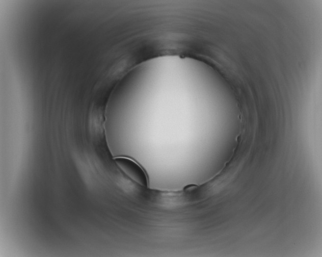 X0000113940240200910021308