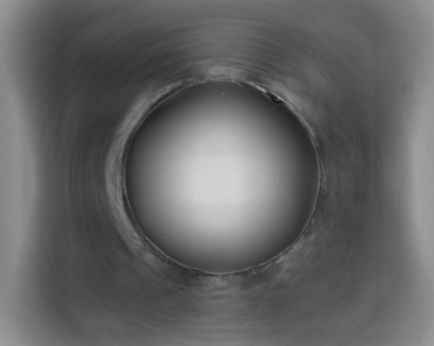 X0000113940241200910021308