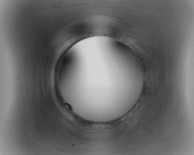 X0000113940242200910021308