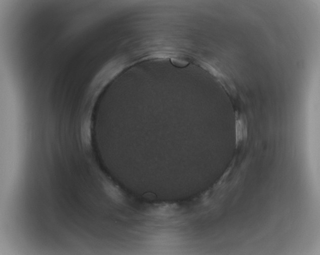 X0000113940243200910021308