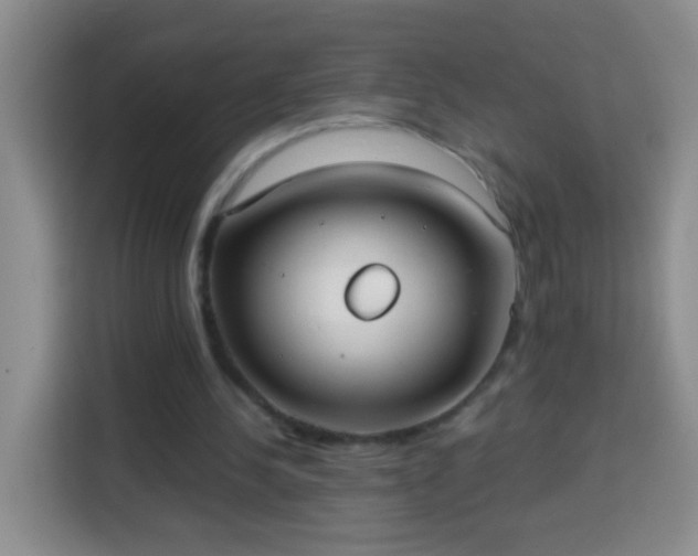 X0000113940244200910021308