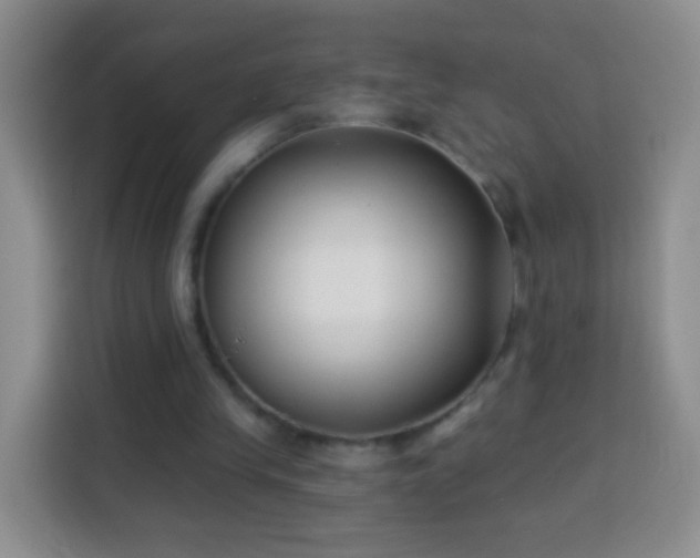 X0000113940245200910021308