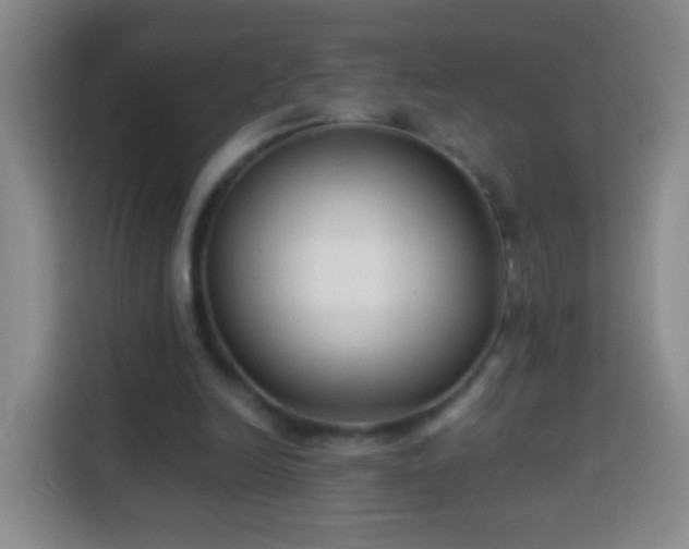 X0000113940246200910021308