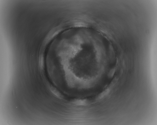 X0000113940247200910021308