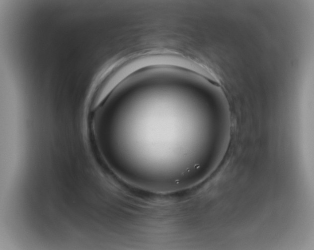 X0000113940248200910021308