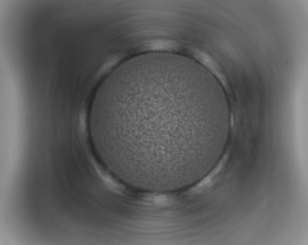 X0000113940249200910021308