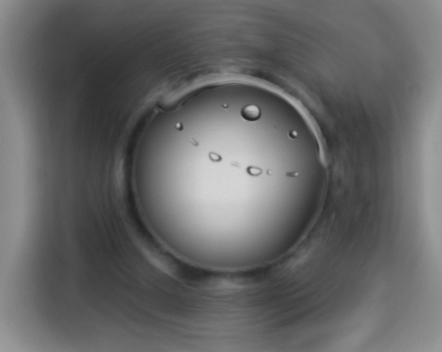 X0000113940250200910021308