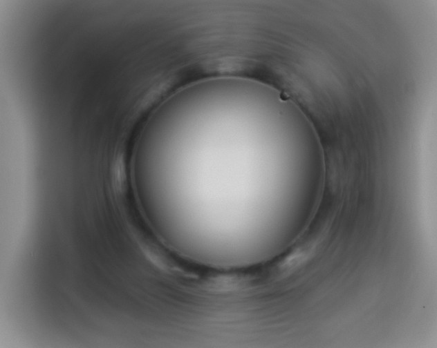 X0000113940251200910021308