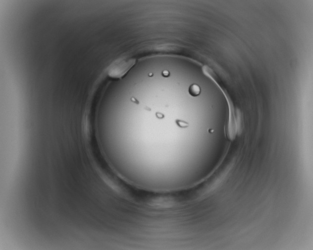 X0000113940252200910021308