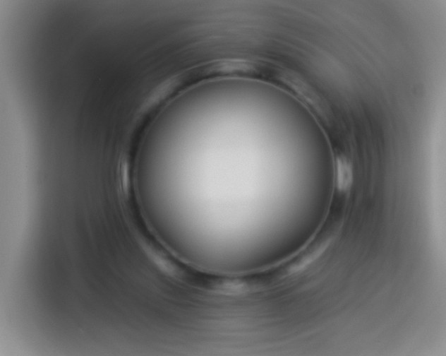 X0000113940253200910021308