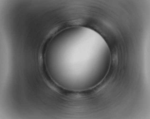 X0000113940254200910021308